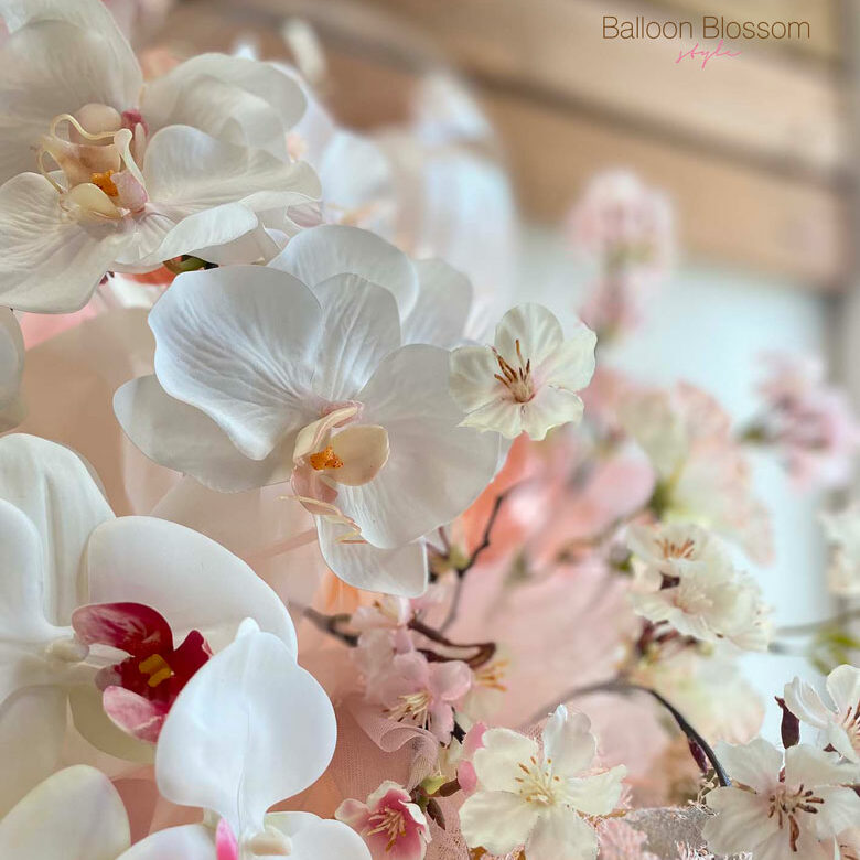 胡蝶蘭と桜の画像