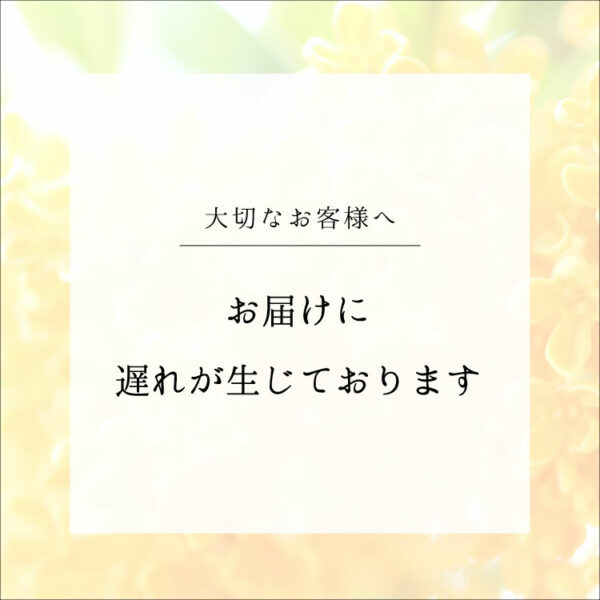 【重要なお知らせ】 商品のご配送に遅れが生じております